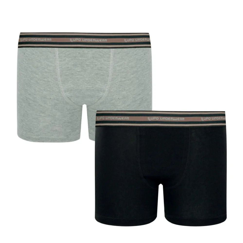 Kit 2 Cuecas Infantil Boxer Algodão Com Elastano - Lupo