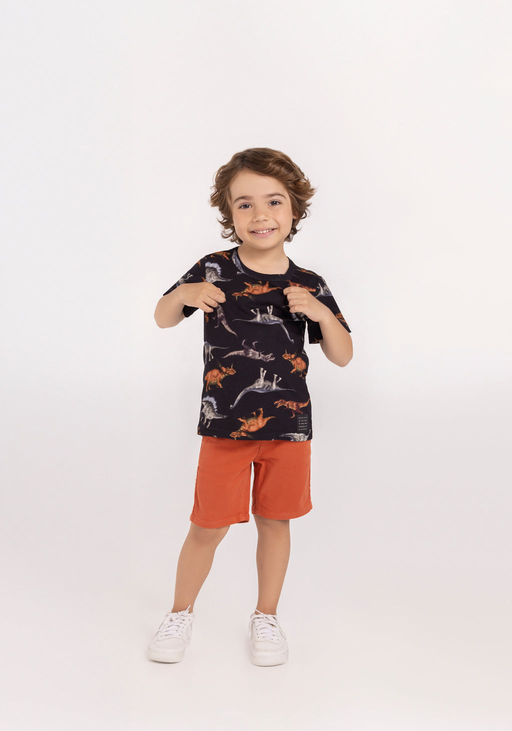 Camiseta Infantil Menino Dinos - Alakazoo