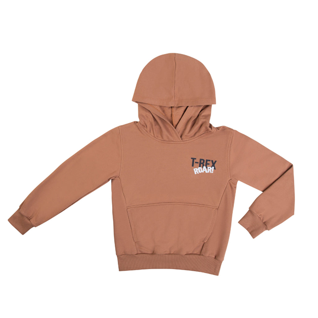 Conjunto Infantil Menino T-Rex Moletom Peluciado - Have Fun
