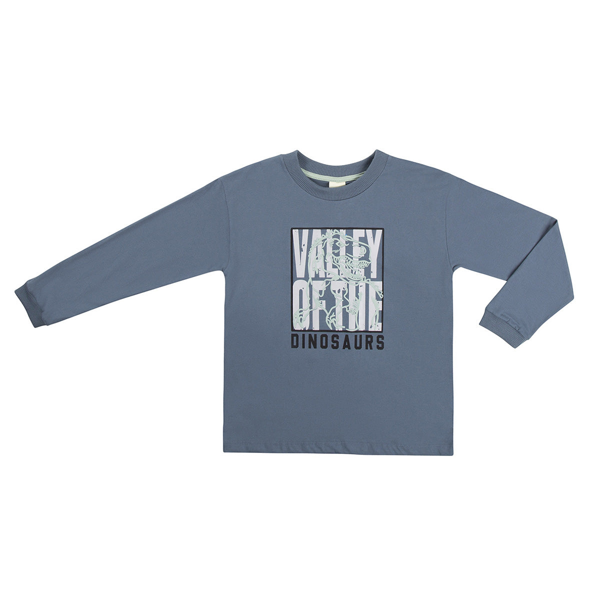 Camiseta Infantil Meia Malha Dinossauro - Have Fun