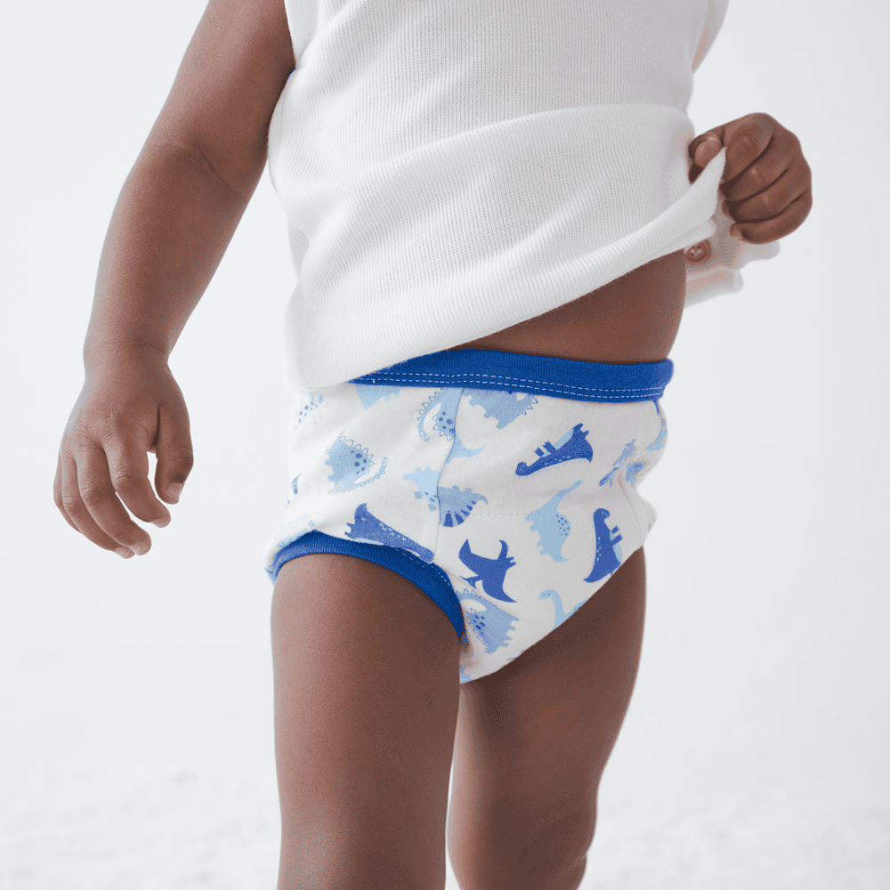 Cueca de Desfralde Treinamento Kit C/ 2 UN Dino - Buba