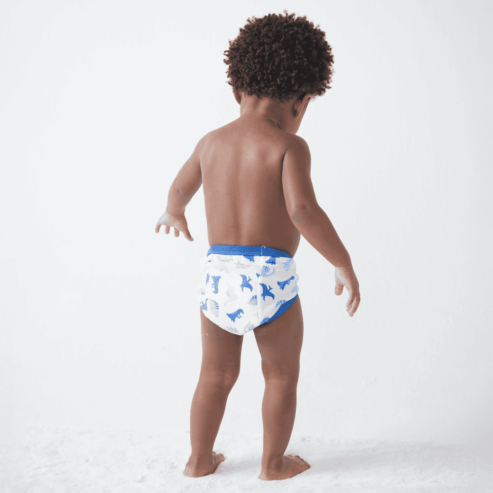 Calcinha de Desfralde Treinamento Kit C/ 2 UN Rainbow - Buba