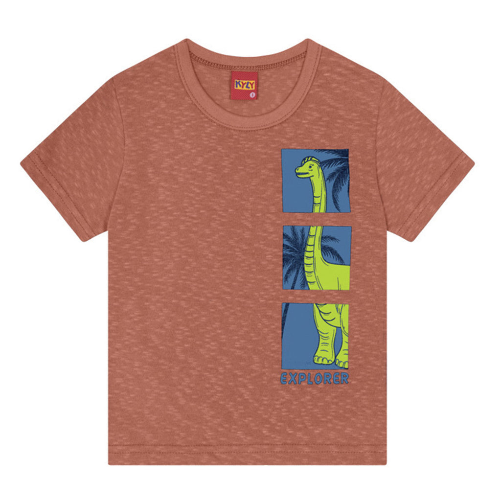 Camiseta Manga Curta Infantil Menino Flamê Dinos - Kyly