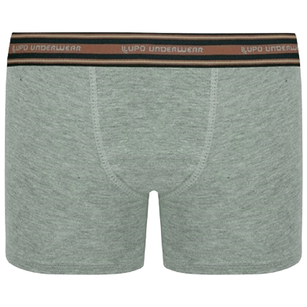 Cueca Infantil Boxer Algodão Com Elastano - Lupo