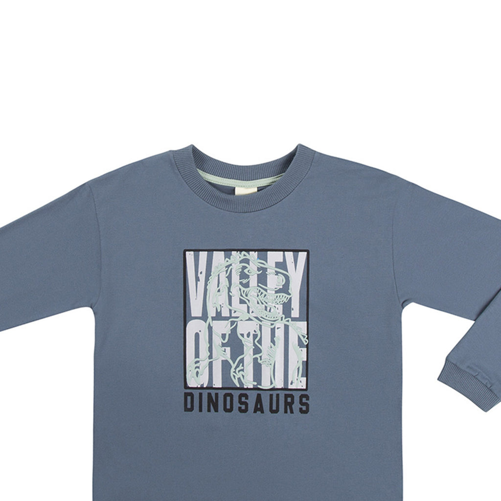 Camiseta Infantil Meia Malha Dinossauro - Have Fun