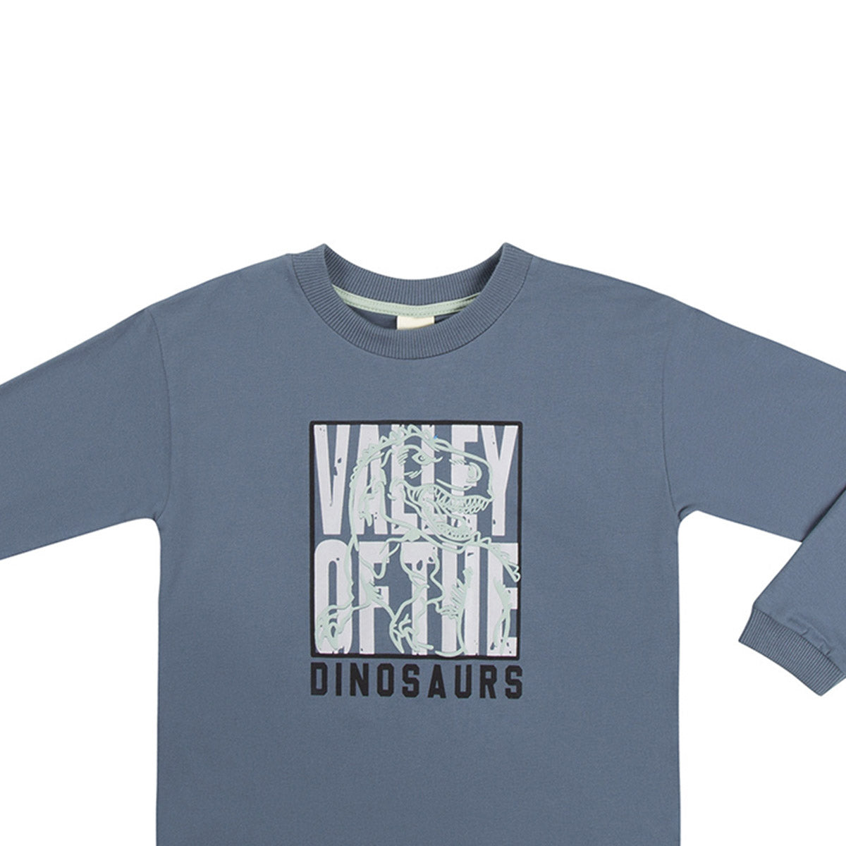 Camiseta Infantil Meia Malha Dinossauro - Have Fun