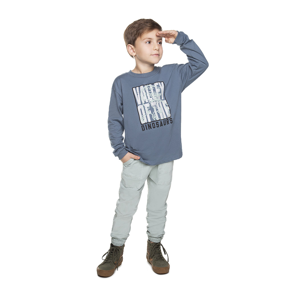 Camiseta Infantil Meia Malha Dinossauro - Have Fun