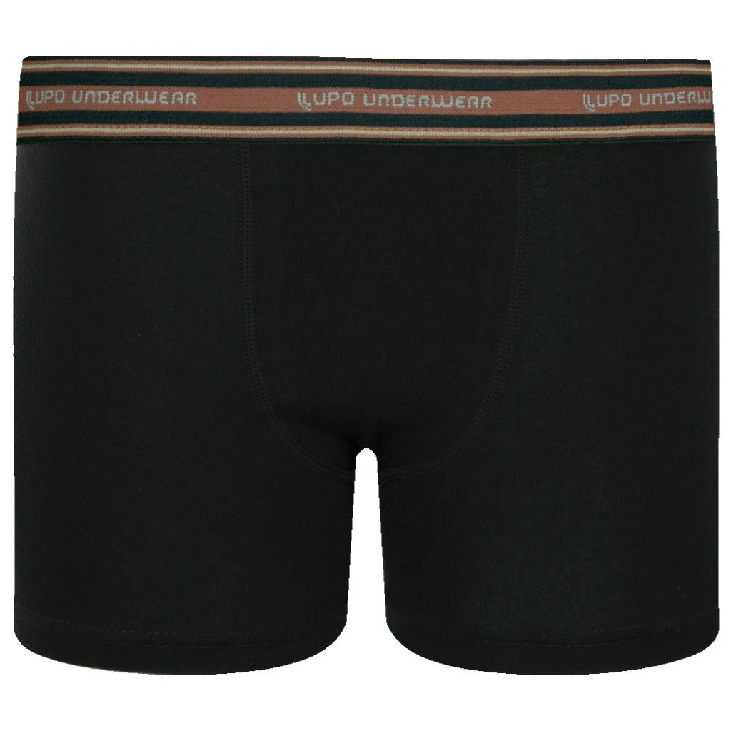 Cueca Infantil Boxer Algodão Com Elastano - Lupo