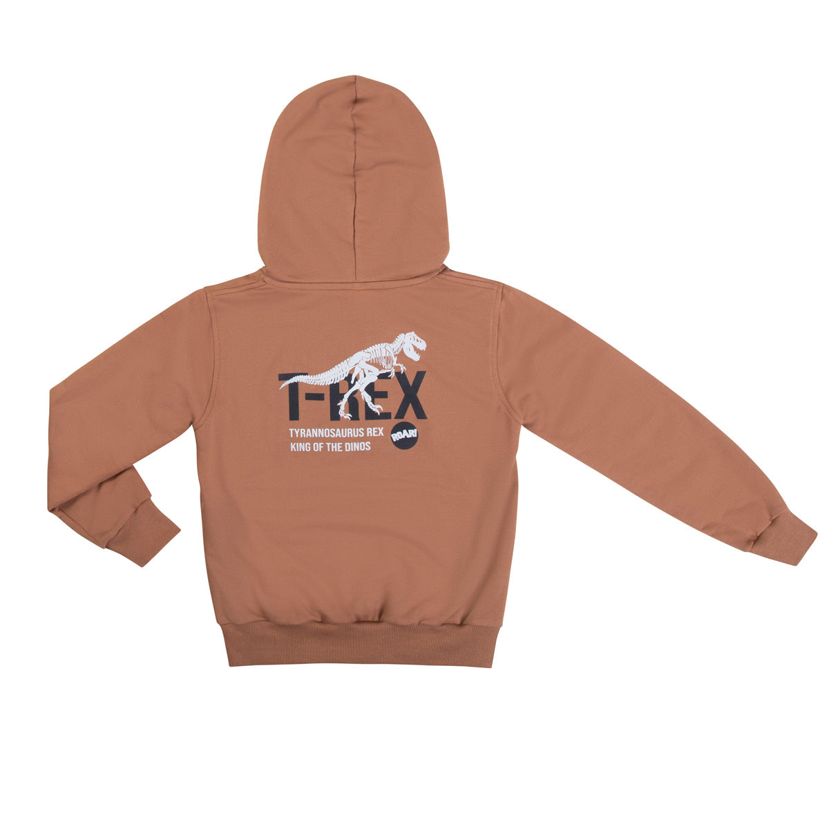 Conjunto Infantil Menino T-Rex Moletom Peluciado - Have Fun