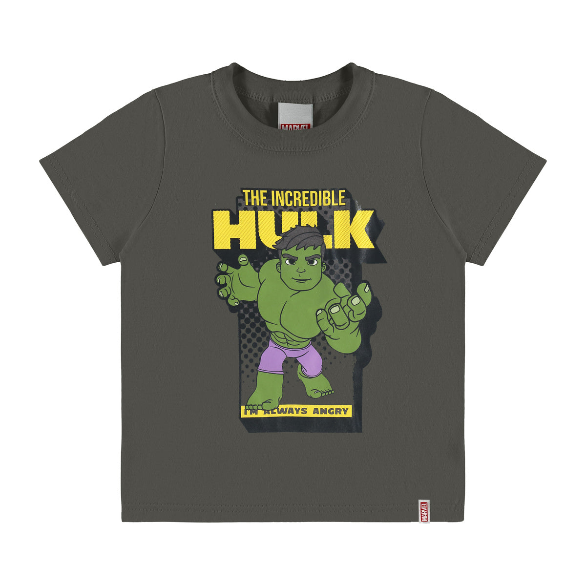 Camiseta Manga Curta Infantil Menino Incrível Hulk - Malwee Kids